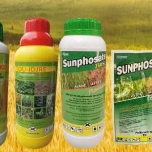 Herbicide granulé total SUNPHOSATE 888 SG 1 kg – Toutes les cultures