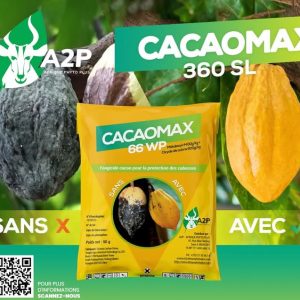 Fongicide granulé CACAOMAX 66 WP 50 gr – Spécial cacao