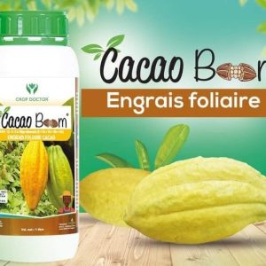 Engrais foliaire CACAO BOOM 1 litre – Spécial cacao