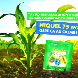 Herbicide granulé sélectif de post-levée du maïs NIQUEL 75 WG 12,5 gr