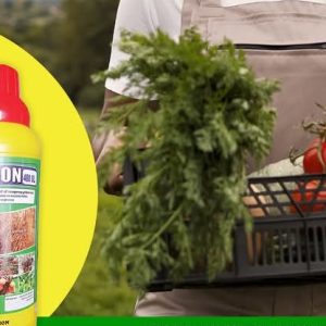 Herbicide liquide non sélectif de post-levée SOLUTION 480 SL 1 litre – Toutes les cultures