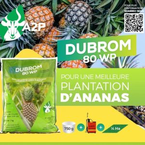 Herbicide granulé sélectif de pré-levée DUBROM 80 WP 1 kg – Spécial ananas