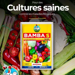 Fongicide granulé BAMBA S 750 WP 1 kg – Cultures vivrières et maraichères
