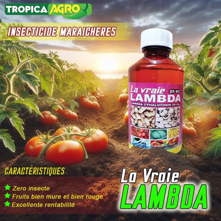 Insecticide liquide La vraie LAMBDA 25 EC 1 litre – Cultures maraichères