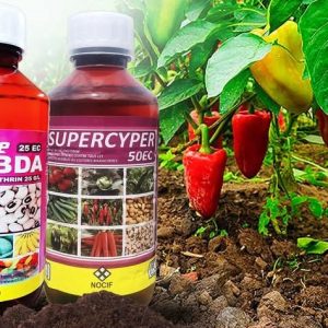 Insecticide liquide La vraie LAMBDA 25 EC 1 litre – Cultures maraichères