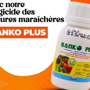 Fongicide granulé BANKO PLUS 650 SC 200 ml – Cultures maraichères