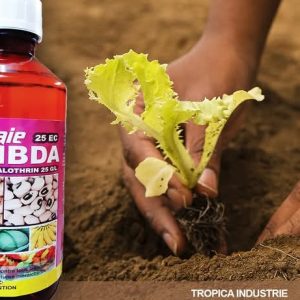 Insecticide liquide La vraie LAMBDA 25 EC 1 litre – Cultures maraichères