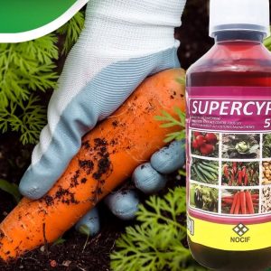 Insecticide liquide SUPERCYPER 50 EC 500 ml – Cultures maraichères