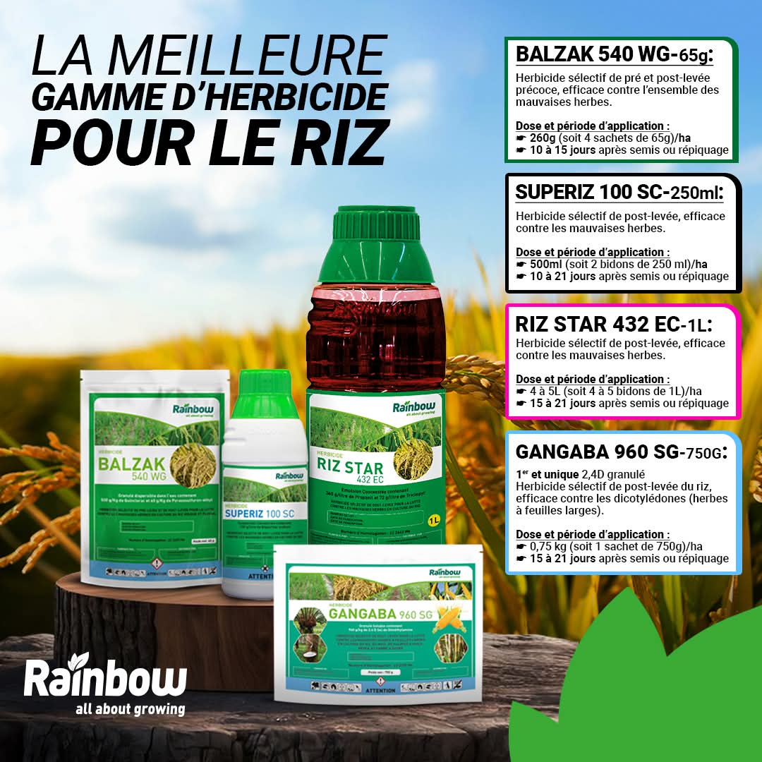 Herbicide liquide sélectif de post-levée SUPERIZ 100 SC 250 ml – Riz