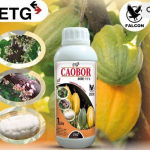 Engrais foliaire CAOBOR (Bore 11%) 1 litre – Spécial cacao