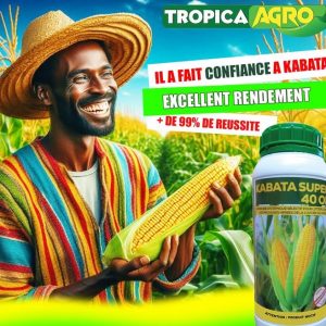 Herbicide liquide sélectif KABATA SUPER 40 OD 1 litre – Spécial maïs