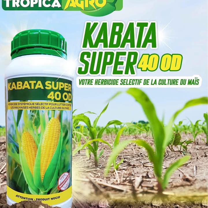 Herbicide liquide sélectif KABATA SUPER 40 OD 1 litre – Spécial maïs