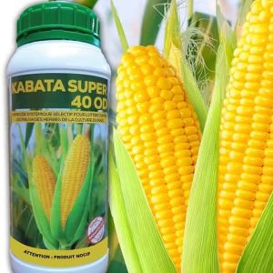 Herbicide liquide sélectif KABATA SUPER 40 OD 1 litre – Spécial maïs