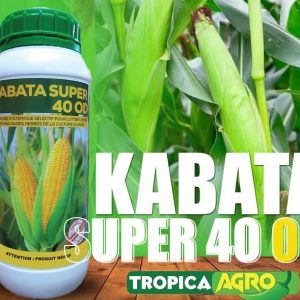 Herbicide liquide sélectif KABATA SUPER 40 OD 1 litre – Spécial maïs