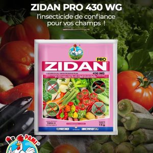Insecticide poudre ZIDAN 430 WG 15 gr – Cultures maraichères