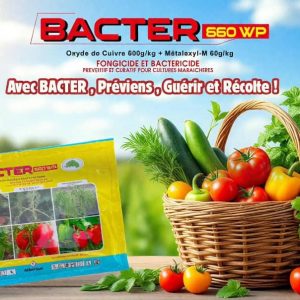 Fongicide et bactéricide granulé BACTER 660 WP 50 gr – Cultures maraichères