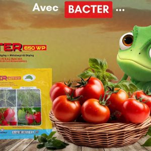 Fongicide et bactéricide granulé BACTER 660 WP 50 gr – Cultures maraichères