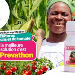 Insecticide liquide PREVATHON 5SC 200 ml – Spécial maïs et tomate