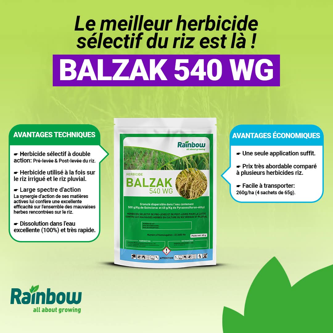 Herbicide granulé sélectif de pré et post-levée BALZAK 540 WG 65 gr – Riz irrigué, riz pluvial