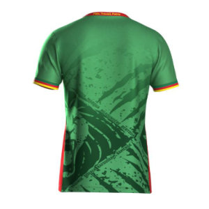 Maillot de football Domicile CAMEROUN 5 étoiles CAN Pro max 2025-26