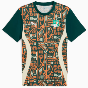 Maillot de football d’avant-match COTE D’IVOIRE Pro max 2025