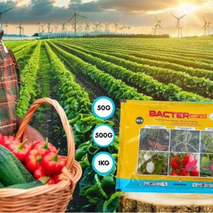 Fongicide et bactéricide granulé BACTER 660 WP 500 gr – Cultures maraichères
