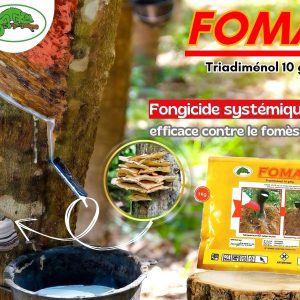 Fongicide granulé FOMA 10 GR 1 kg – Hévéa