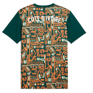 Maillot de football d’avant-match COTE D’IVOIRE Pro max 2025
