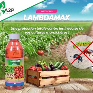 Insecticide liquide LAMBDAMAX 25 EC 1 litre – Cultures maraichères