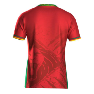 Maillot de football Extérieur CAMEROUN 5 étoiles CAN Pro max 2025-26