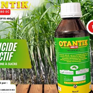 Herbicide liquide sélectif OTANTIK 480 EC 1 litre – Canne à sucre
