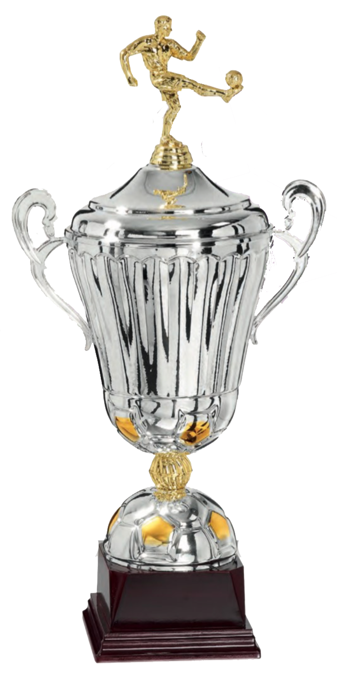 Trophée de victoire argenté