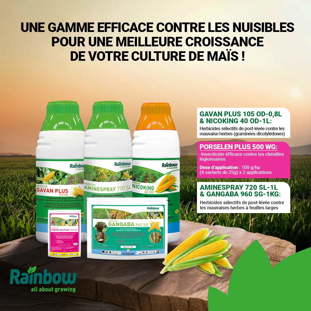 Herbicide liquide sélectif de post-levée GAVAN PLUS 105 OD 0,8 litre – Mais