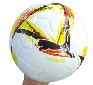 Ballon de football PUMA La Liga multicoloris
