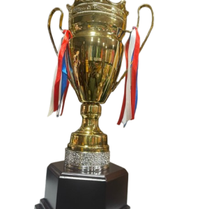 Grand Trophée sportif or