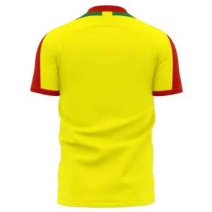Maillot de football Domicile BENIN Pro max 2025