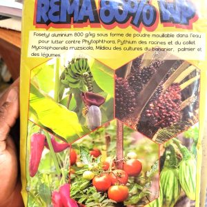 Fongicide poudre REMA 80% WP 75 gr – Banane, palmier à huile, cultures légumières