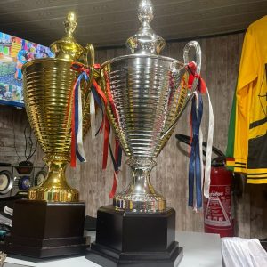 Trophée de victoire argenté