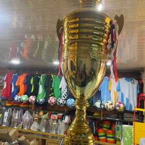 Grand Trophée sportif or