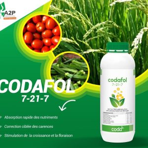 Engrais foliaire CODAFOL 7 – 21 – 7 Croissance 1 litre – Riz, cultures maraichères