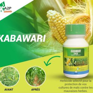 Herbicide liquide sélectif de pré-levée KABAWARI 234 SC 250 ml – Spécial maïs