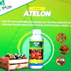 Fongicide liquide ATELON 650 SC 1 litre – Cultures maraichères