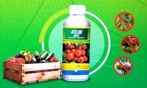 Fongicide liquide ATELON 650 SC 1 litre – Cultures maraichères