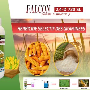 Herbicide liquide sélectif FALCON 2,4-D 720 SL 1 litre – Maïs, riz, canne à sucre