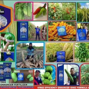 Engrais poudre Bio 100% naturel 4THREE 5 gr – Potagers, fleurs, cultures maraichères