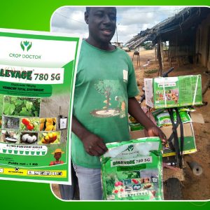 Herbicide granulé total BALEYAGE 780 SG 1 kg – Toutes les cultures