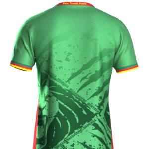 Maillot de football Domicile CAMEROUN 5 étoiles CAN Pro max 2025-26