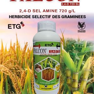 Herbicide liquide sélectif FALCON 2,4-D 720 SL 1 litre – Maïs, riz, canne à sucre