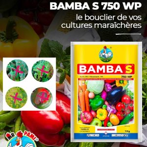 Fongicide granulé BAMBA S 750 WP 1 kg – Cultures vivrières et maraichères