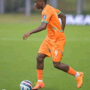 Maillot de football Domicile COTE D’IVOIRE Pro max 2025